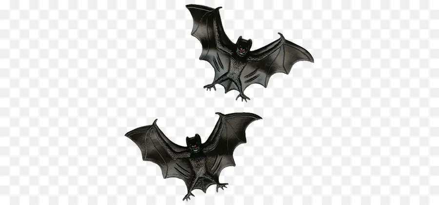 Bat，Halloween PNG