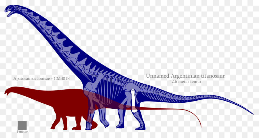 Dinosaurio，Línea PNG
