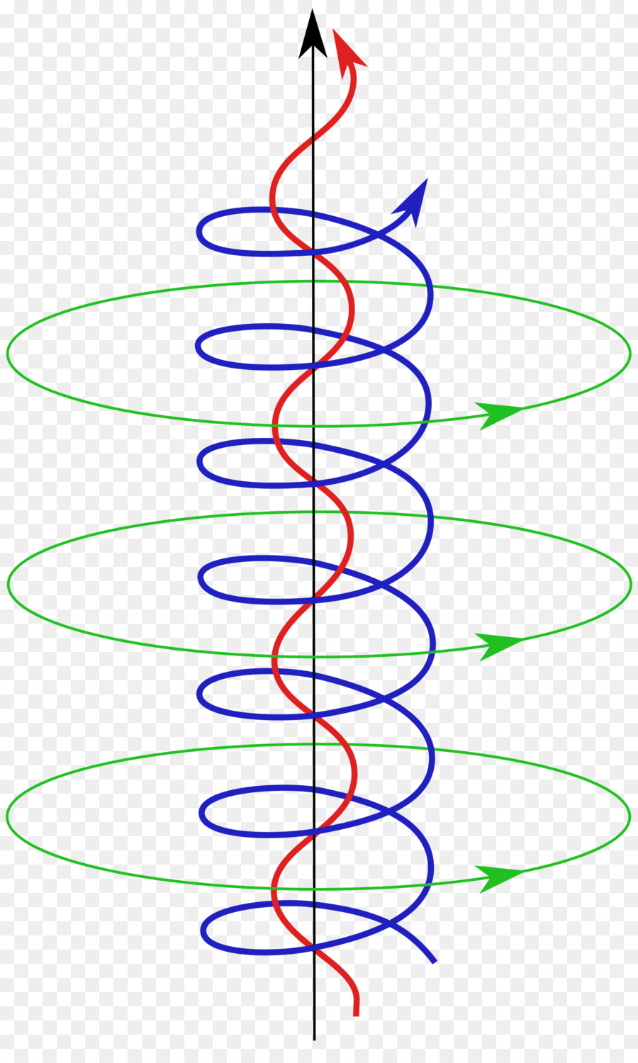 Estructura Helicoidal，Diagrama PNG