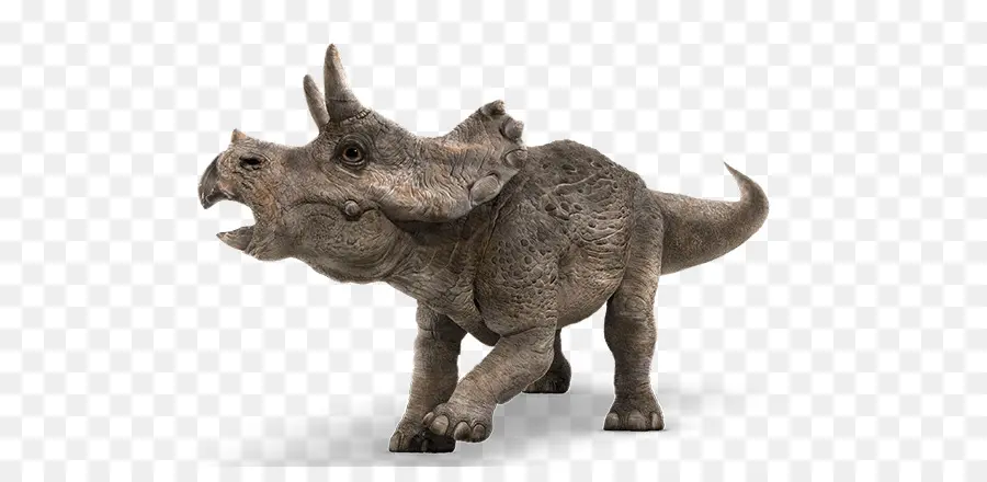 Triceratops，Tyrannosaurus PNG