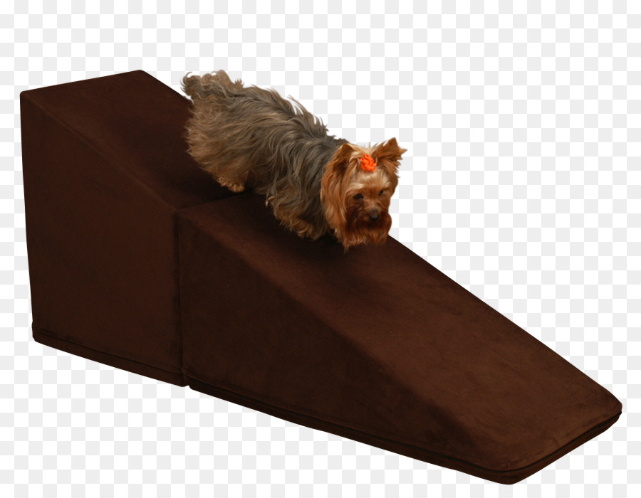 Yorkshire Terrier，Sofá PNG