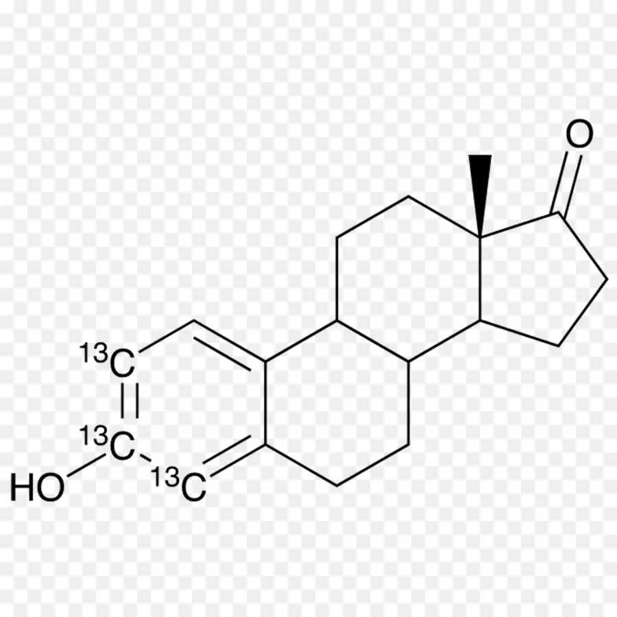 Estradiol，La Estrona PNG