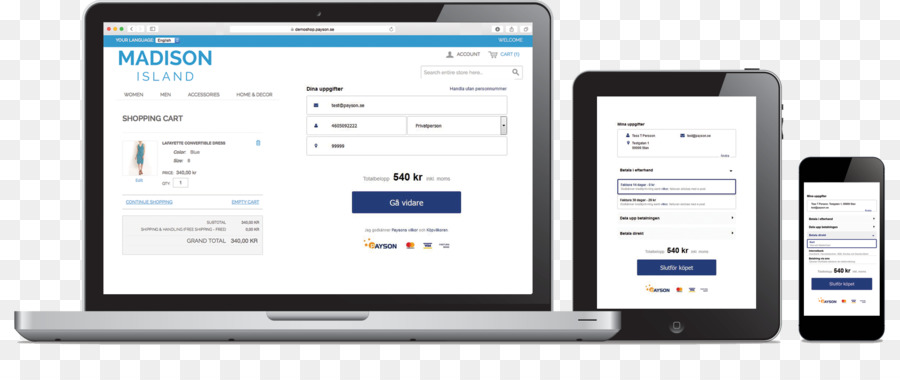 Ecommerce，Payson Ab PNG