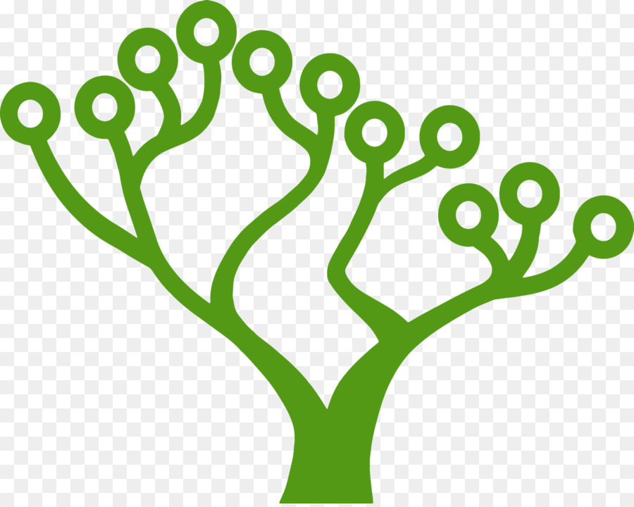 Árbol，Hojas PNG