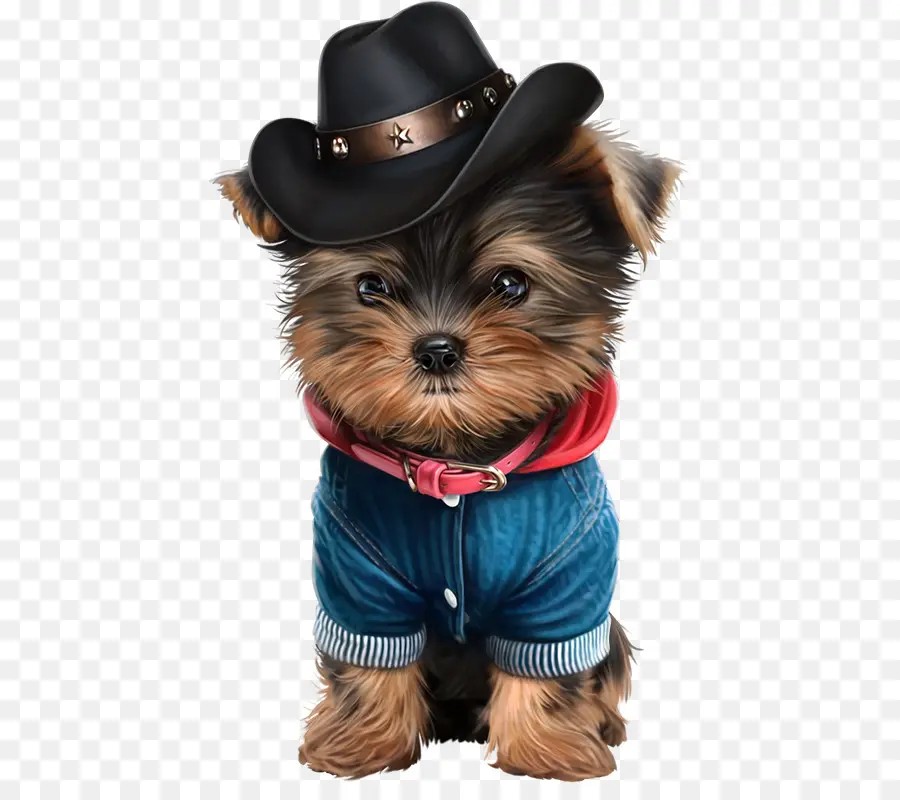 Perro，Sombrero PNG