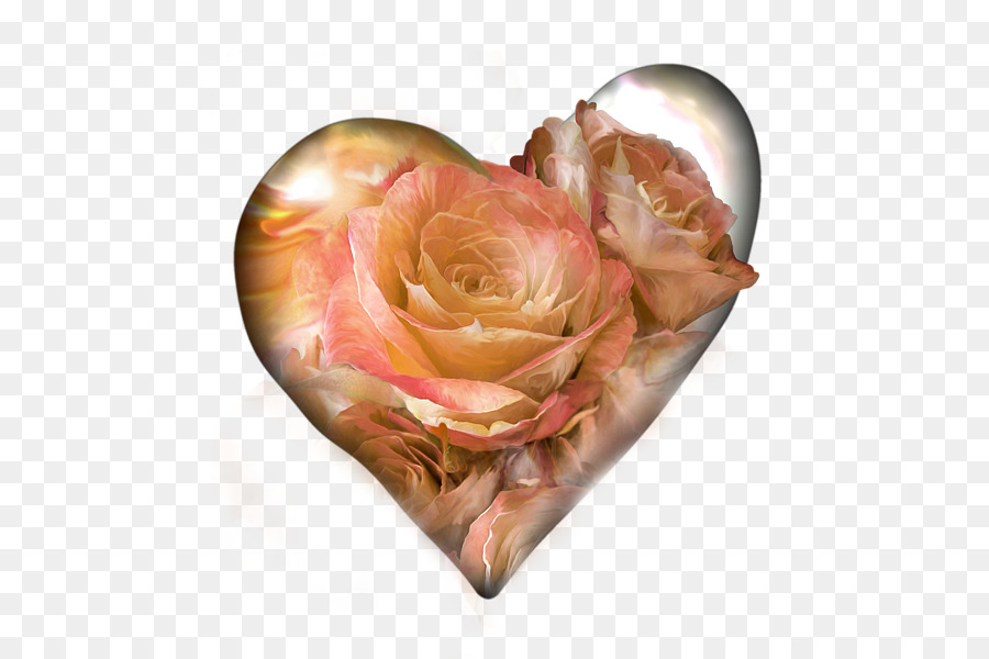 Rosa En Forma De Corazón，Amar PNG