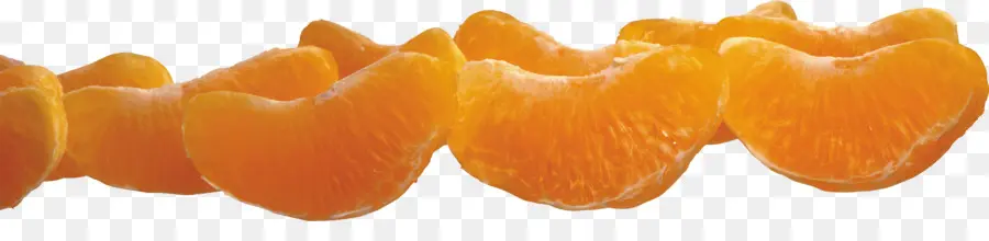 Rodajas De Naranja，Fruta PNG