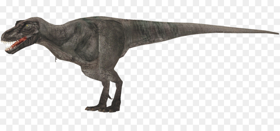 Tyrannosaurus，Animal PNG