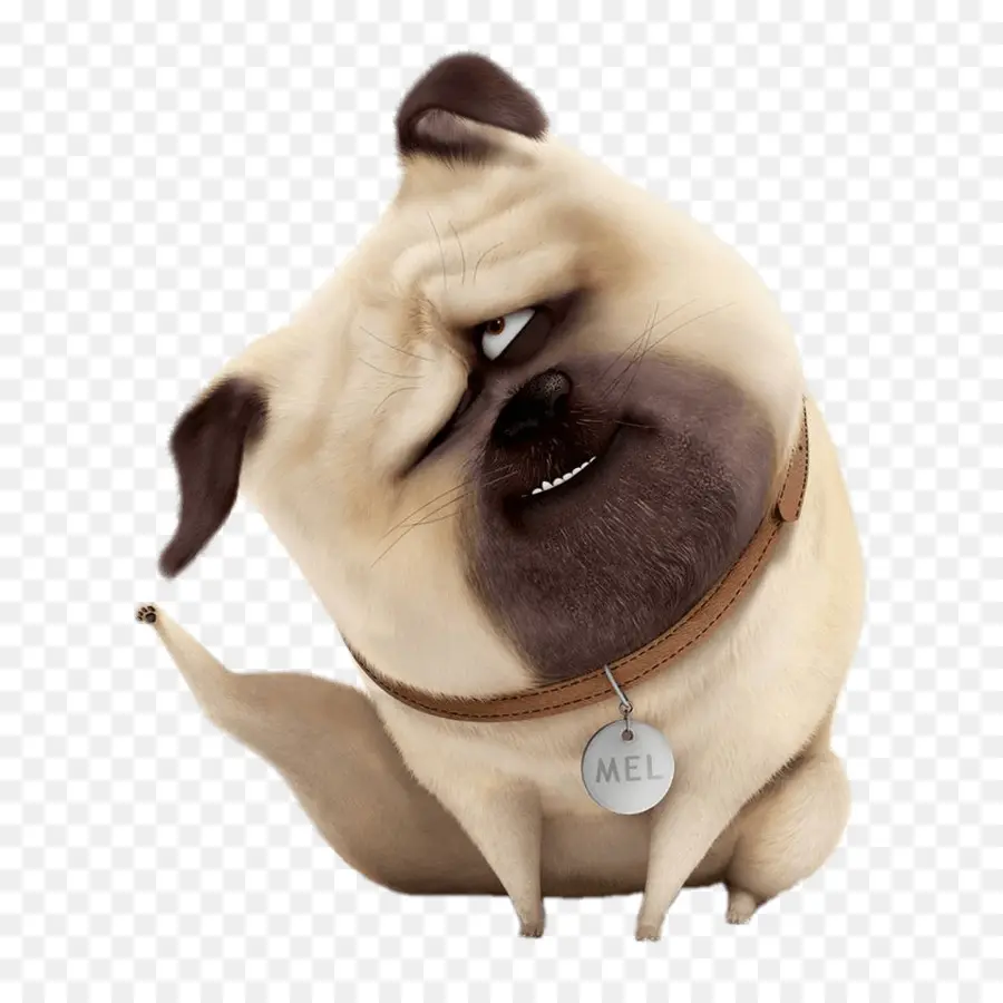 Pug，Mel PNG