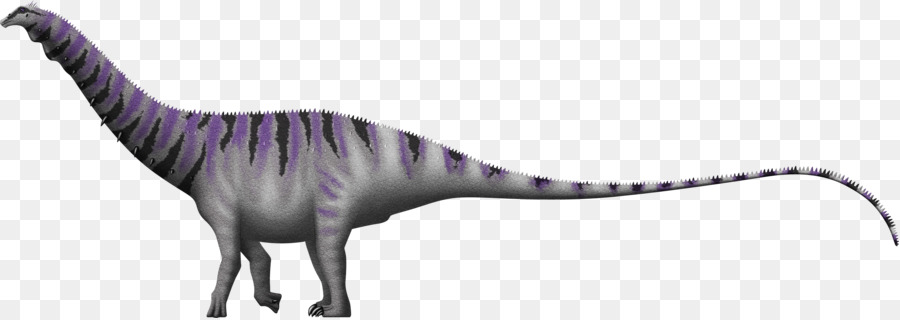 Brontosaurus，Apatosauro PNG