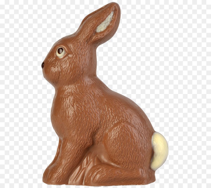 Liebre，Conejo De Pascua PNG