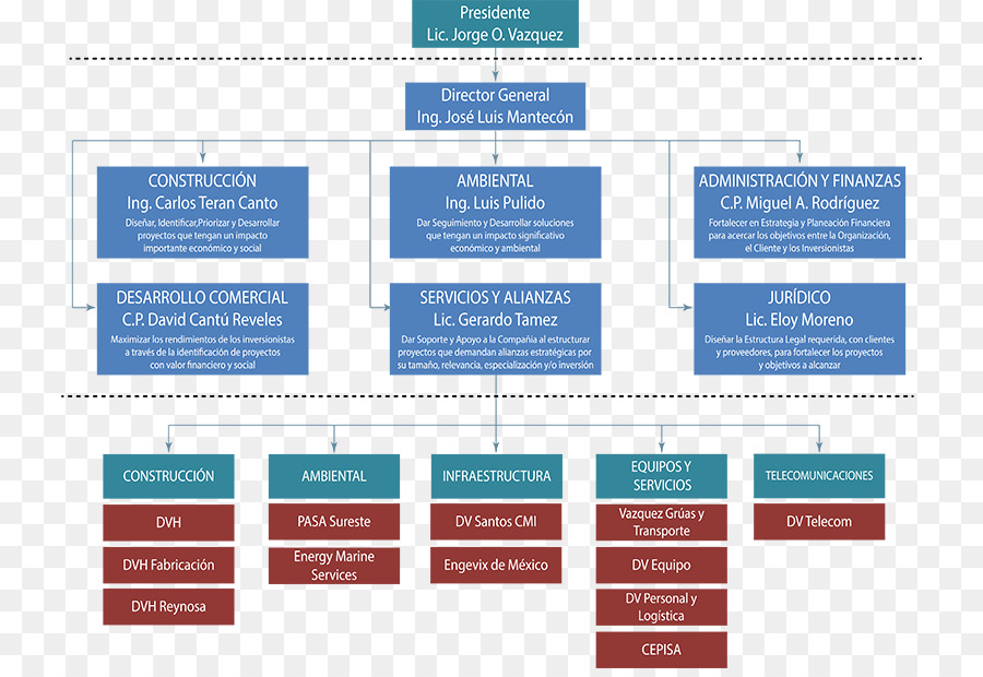 Organigrama，Organización PNG