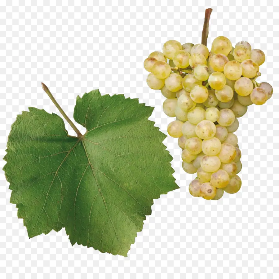 Uvas，Verde PNG