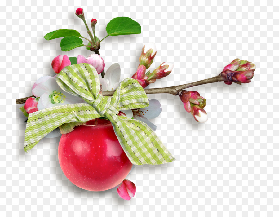 Arándano Rojo，La Fruta PNG