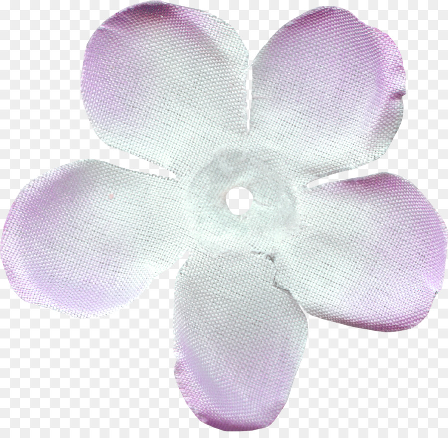 La Polilla De Las Orquídeas，Las Orquídeas PNG