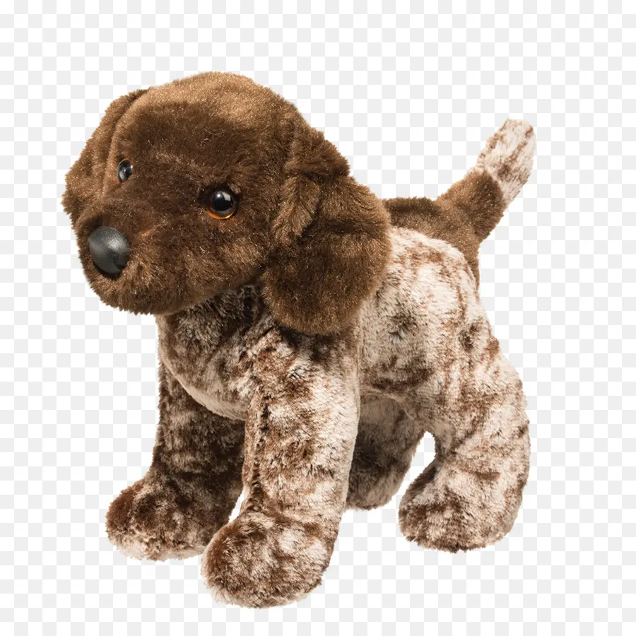 Raza De Perro，Cachorro PNG