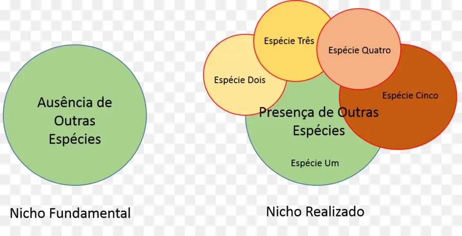 Diagrama De Nicho，Ecología PNG