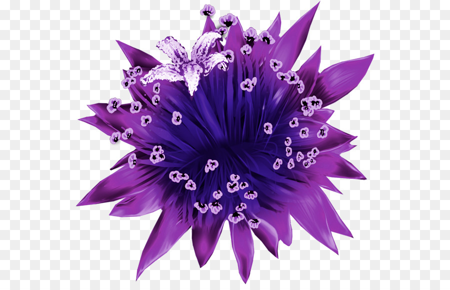 Flor Morada，Florecer PNG