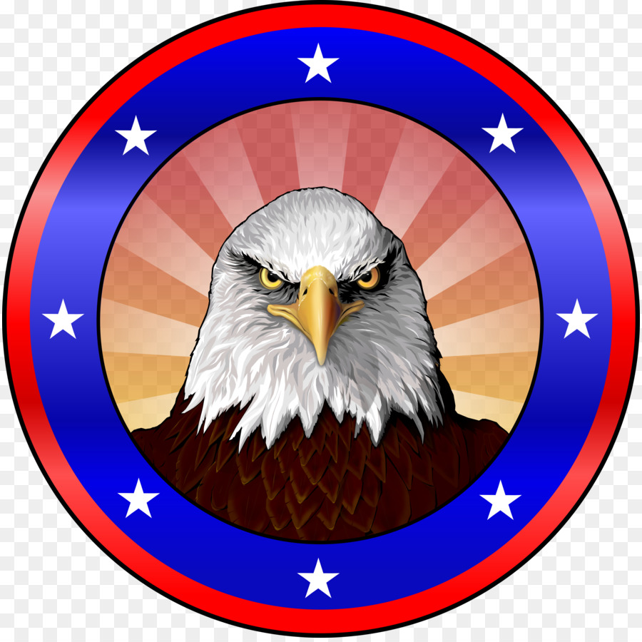 águila Calva，Estados Unidos PNG