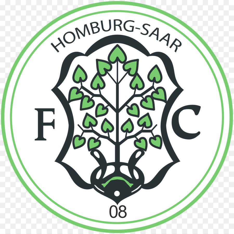 Fc 08 Homburg，Sv Elversberg PNG