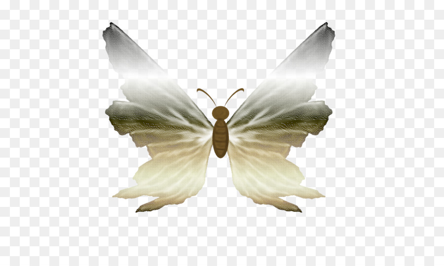 Gusano De Seda，Bombyx PNG