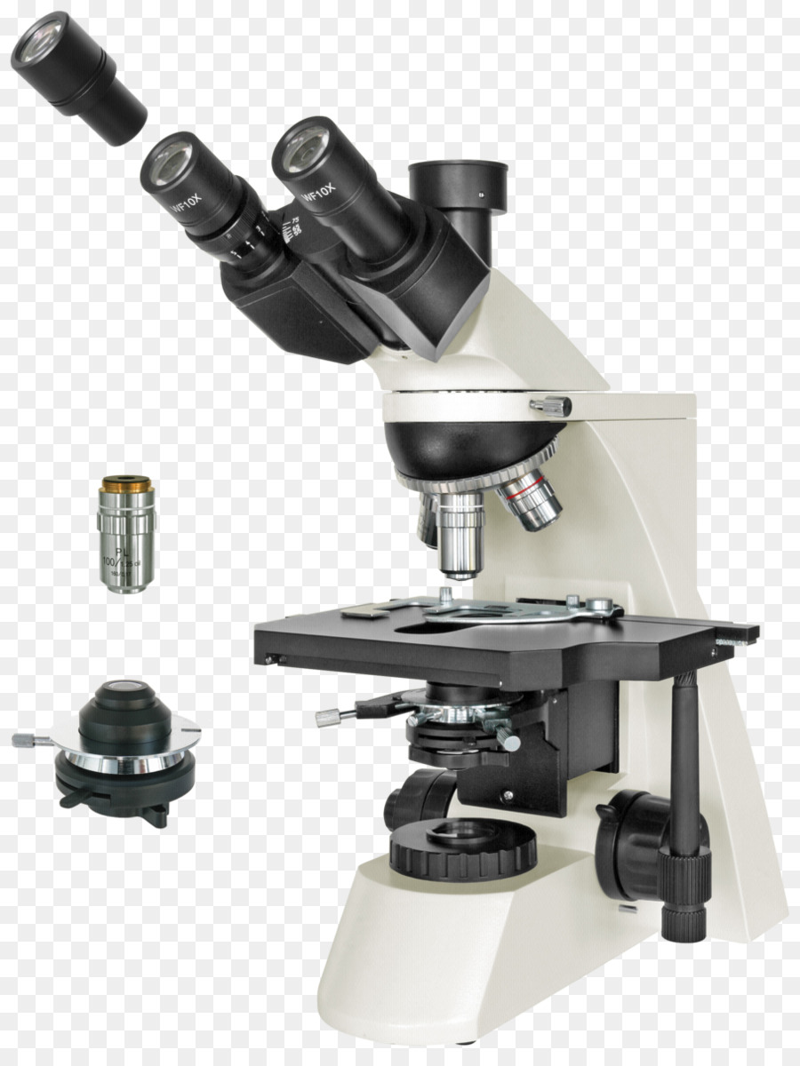 Microscopio，Ciencia PNG