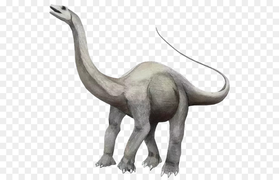 Apatosauro，Brontosaurus PNG