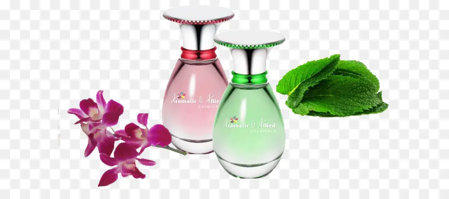 Perfume，De Los Compuestos Aromáticos PNG