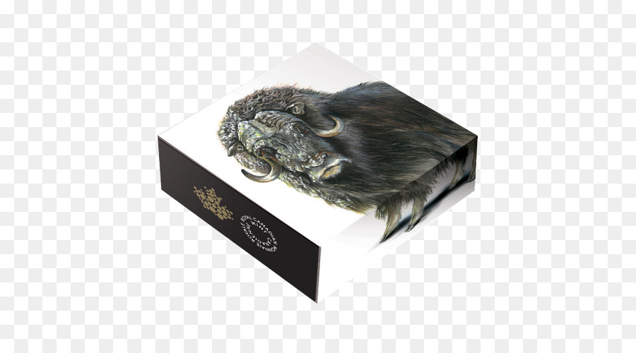 Muskox，Buey PNG