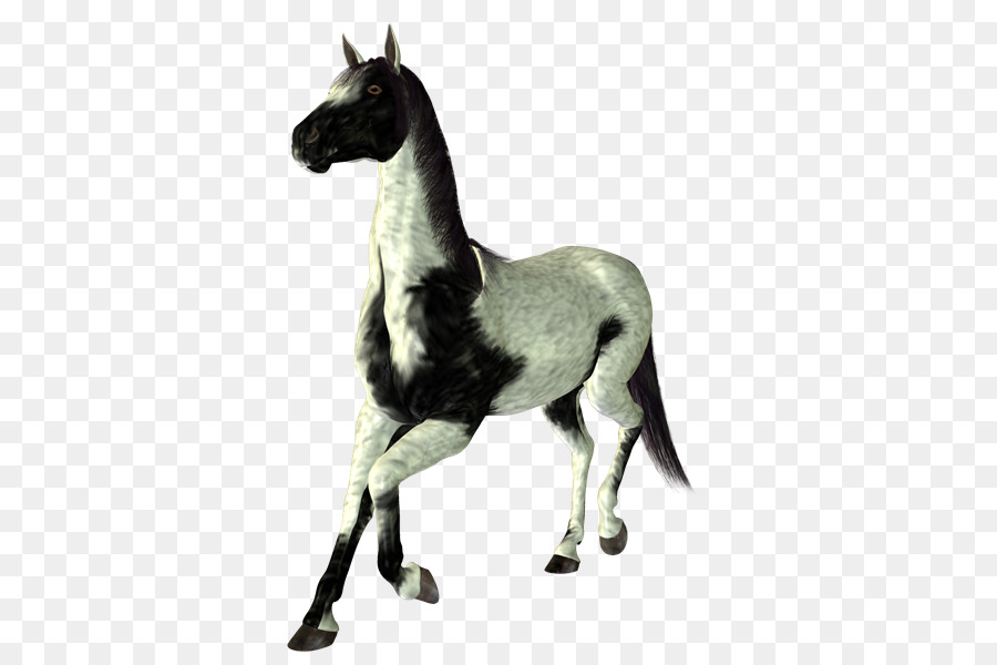 Caballos，Fauna PNG