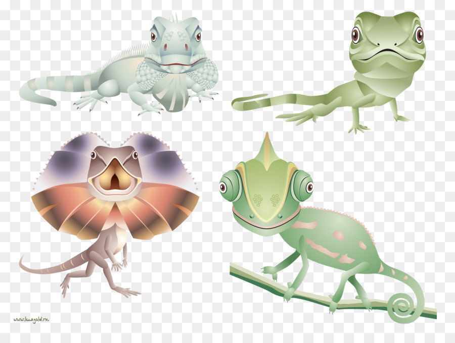 Lagartos De Dibujos Animados，Reptiles PNG