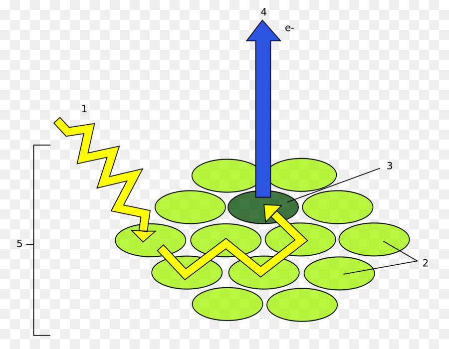 La Luz，Fotosistema PNG