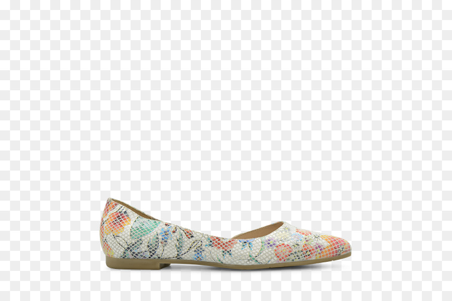 El Ballet Plana，Zapato PNG