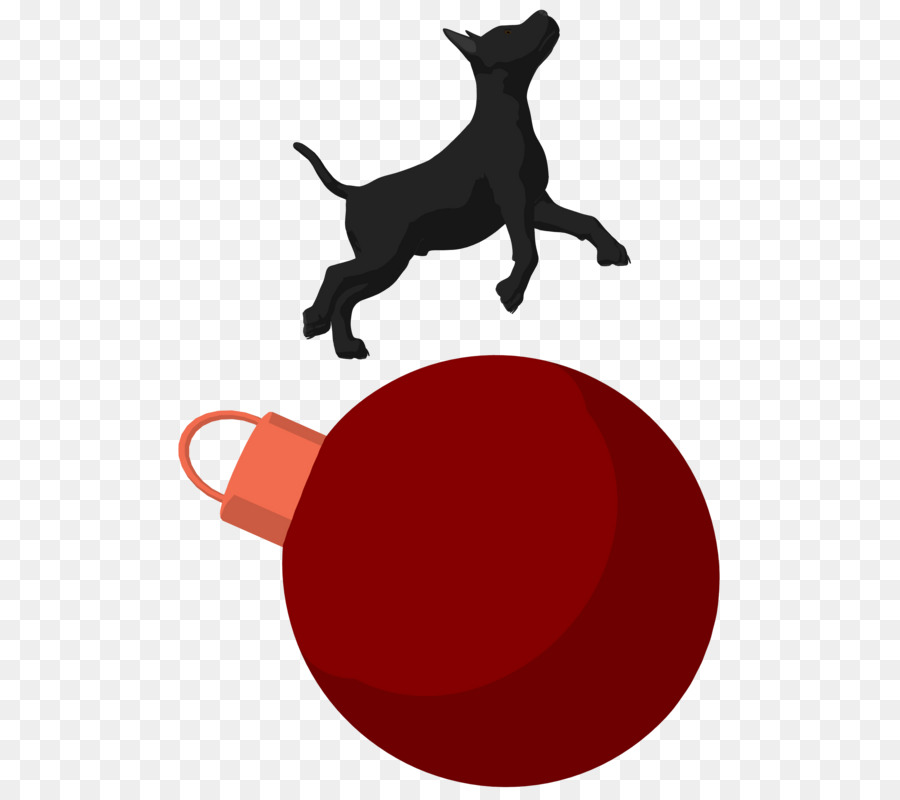 Perro，Una Fotografía De Stock PNG