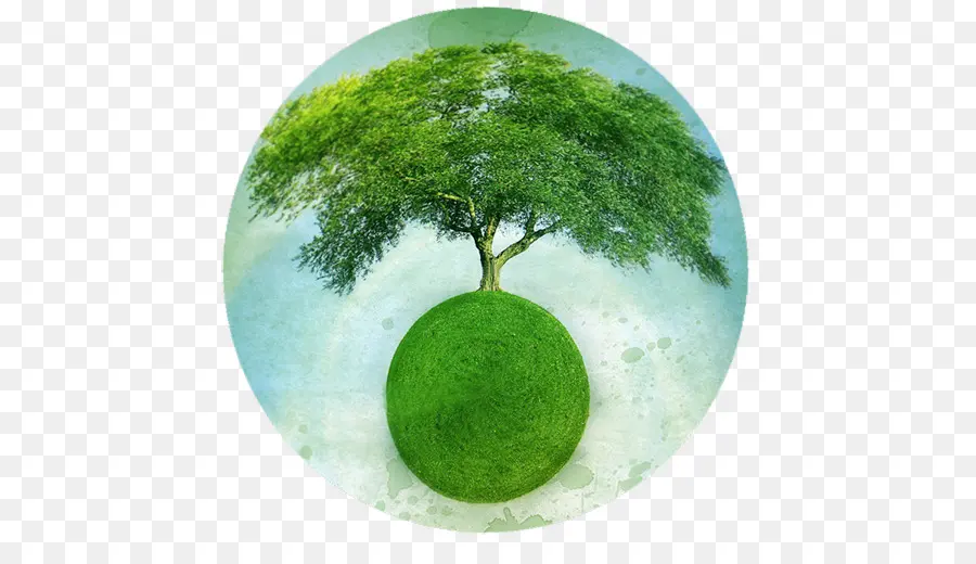 Árbol En El Globo，Tierra PNG