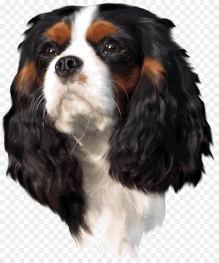 Perro，Mascota PNG