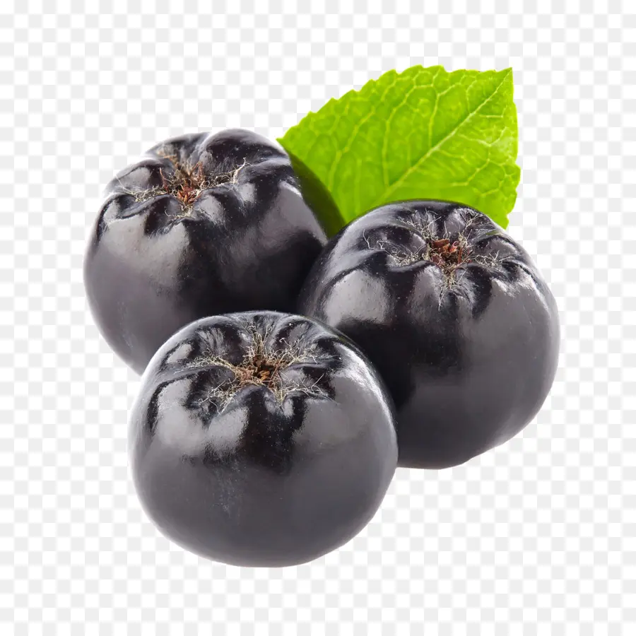 Berry，Aronia Melanocarpa PNG