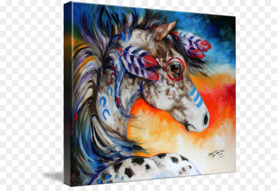 Appaloosa，Pintura Acrílica PNG