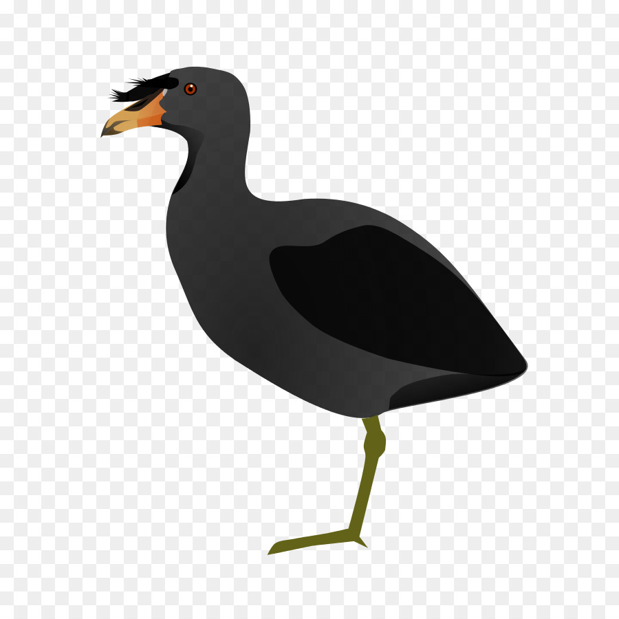 Gaviota，Vuelo PNG