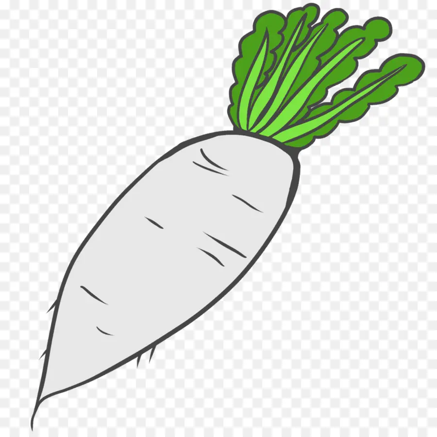 Vegetal，Dibujo PNG