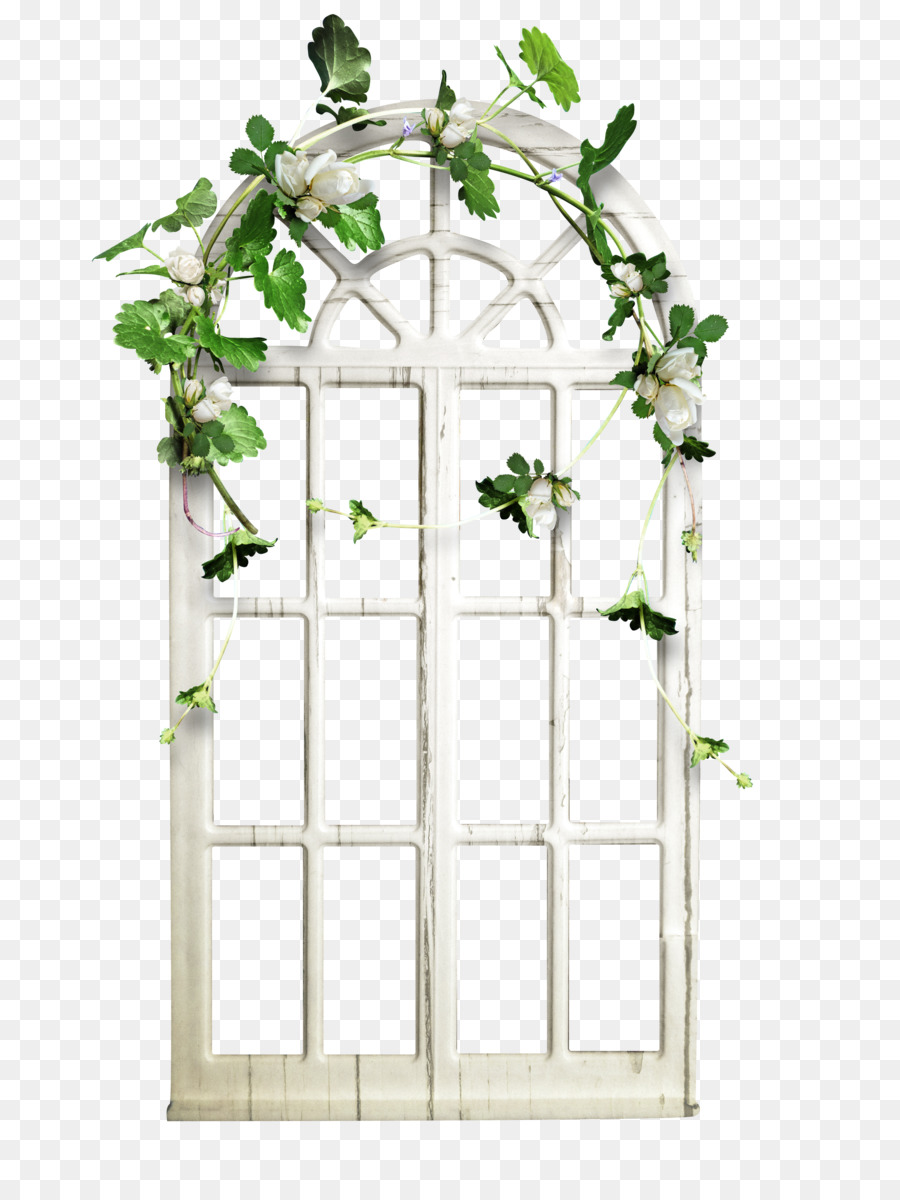 Ventana De Arco，Ventana PNG