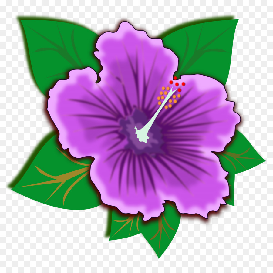 Flor Morada，Flor PNG