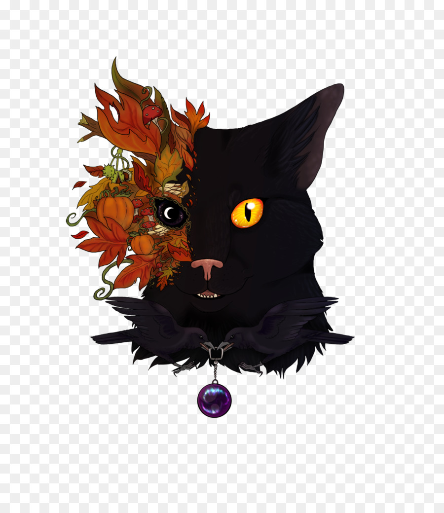 Gato Negro，Gato PNG