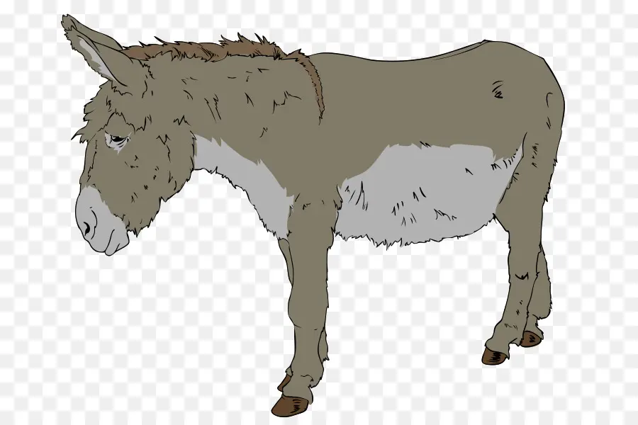 Burro，Miniatura PNG