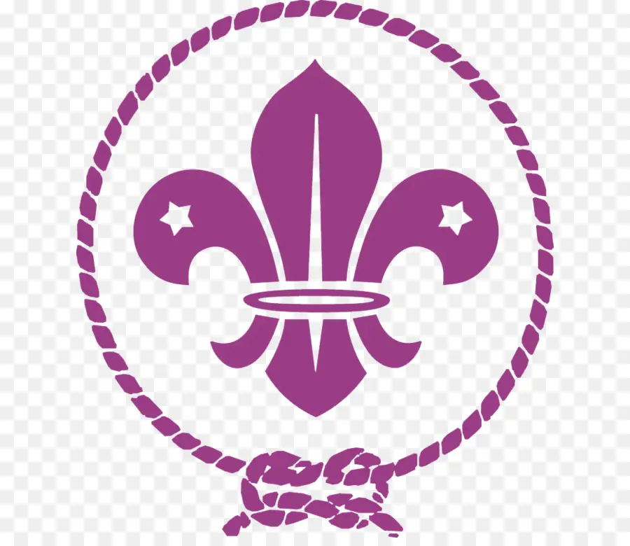 Exploración，Organización Mundial Del Movimiento Scouts PNG