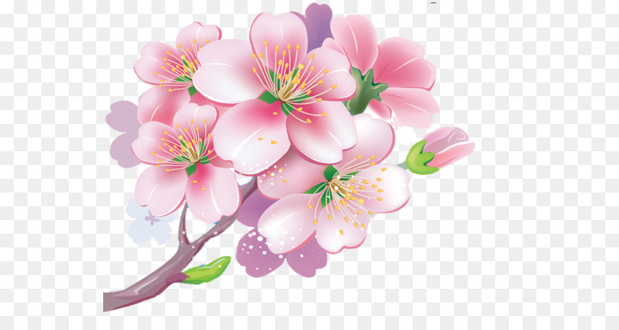 Flor，Florecer PNG