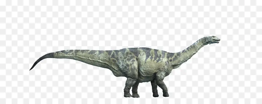 Dinosaurio De Tamaño，Argentinosaurus PNG
