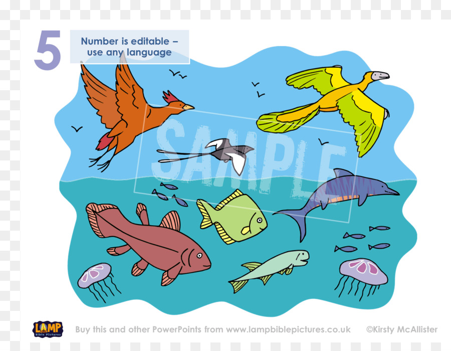 Animales De Mar Y Aire，Pez PNG