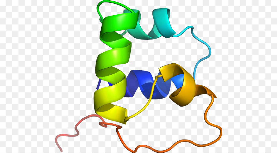 Estructura Proteica，Molécula PNG