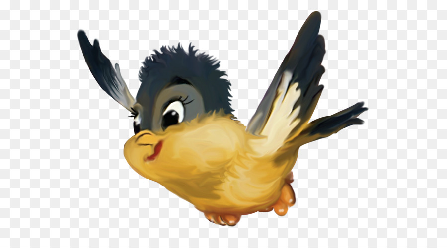 Pájaro，Plumas PNG